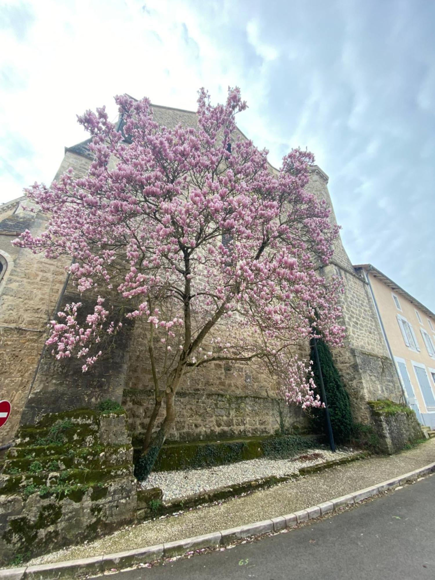 Logis Hotel Le Saint Georges Vivonne Exterior foto